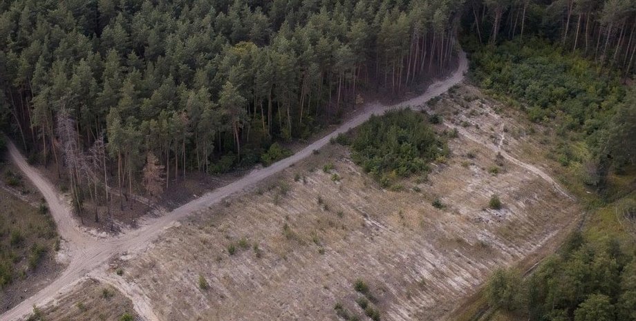 Фото: Гордон