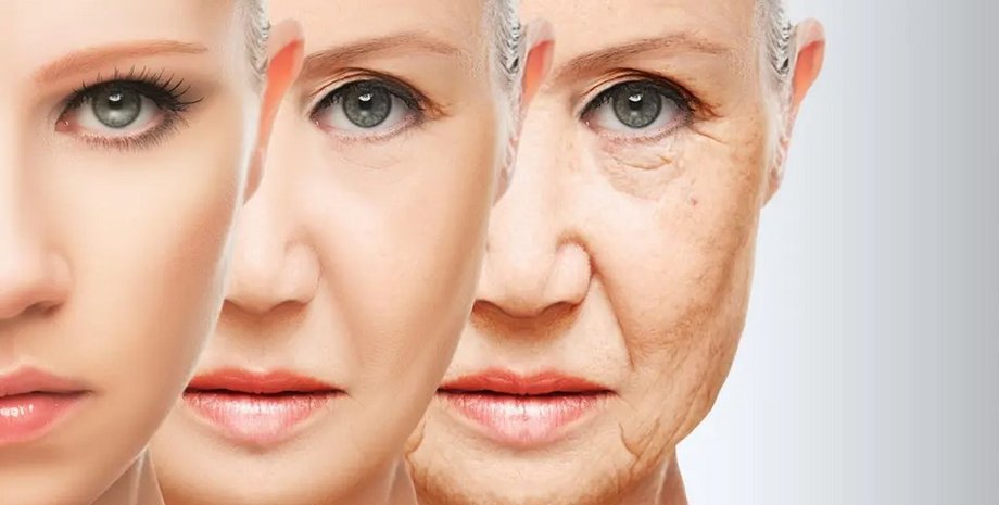 старение, замедлить старение