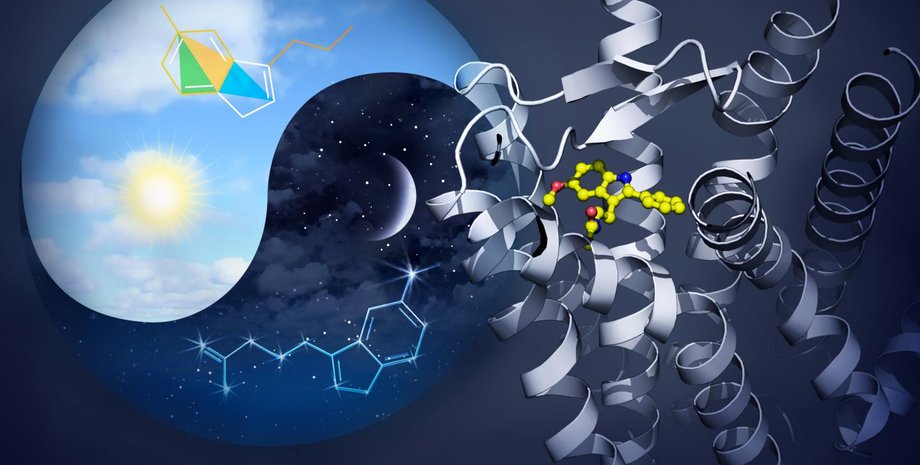 Bridge Institute at USC Michelson Center for Convergent Bioscience