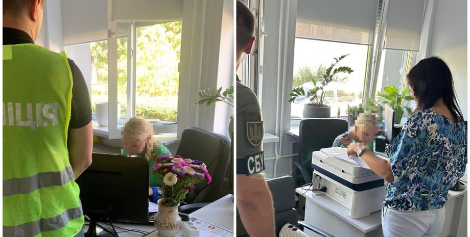 Ольга Дроздова, київська прокуратура, закупівля овочерізок