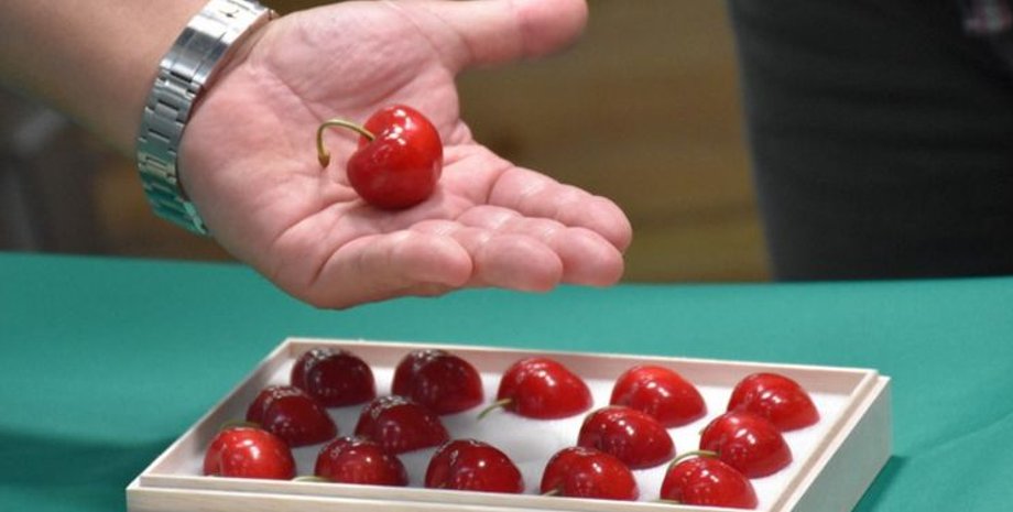 черешні, японія, черешні з японії, найдорожчі черешні, аукціон, ціна на черешні