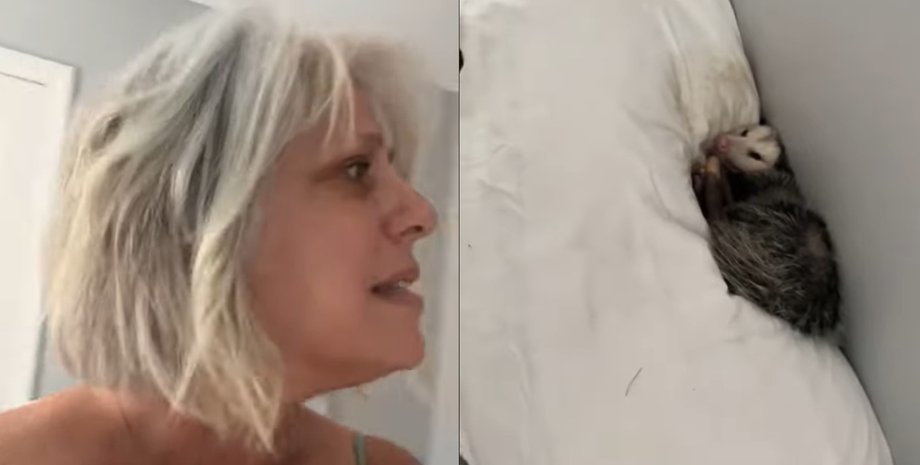 Жінка з Міссурі з подивом дивиться на дитинча опосума, яке затишно вмостилося серед подушок у її ліжку