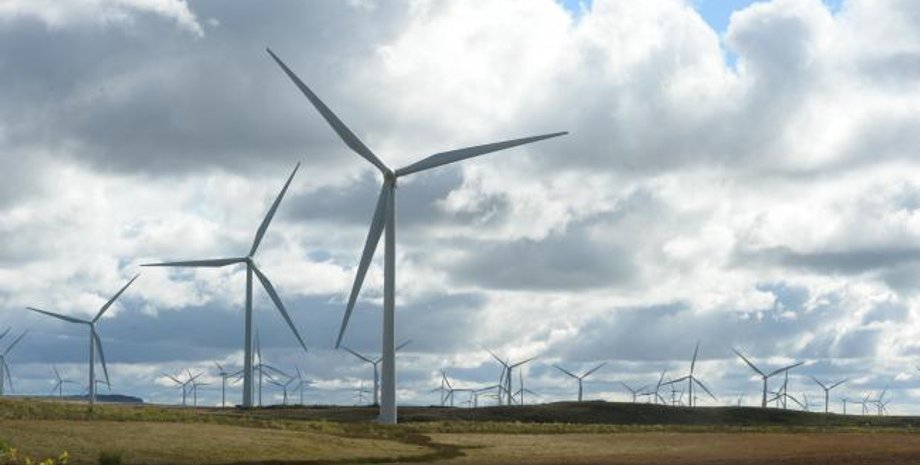 Фото: The Herald