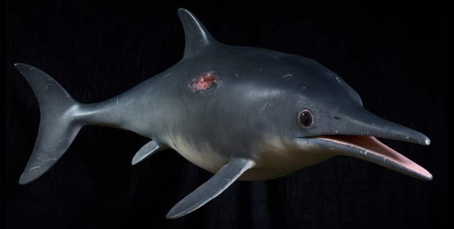 реконструкция, ихтиозавр, фото