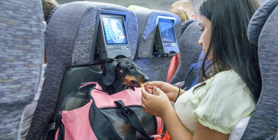 Скандал на борту авиакомпании Frontier Airlines, пассажирка пожелала развернуть самолет, чтобы вернуть свой телефон