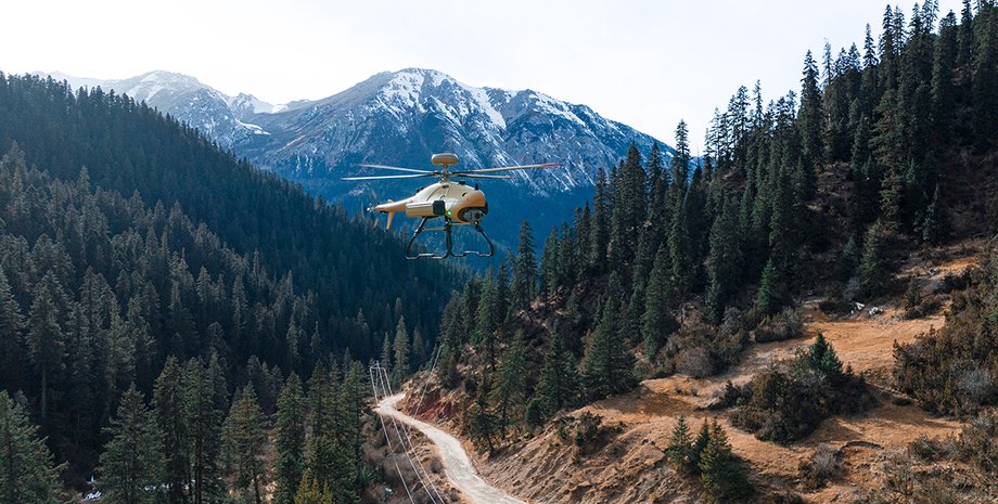 вертоліт, Grey Whale G1