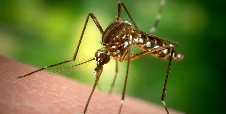 Фото: ptzgovorit.ru