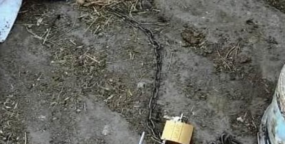 Фото: vn.npu.gov.ua