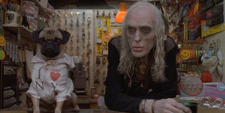 мопс, собаки, порода собак