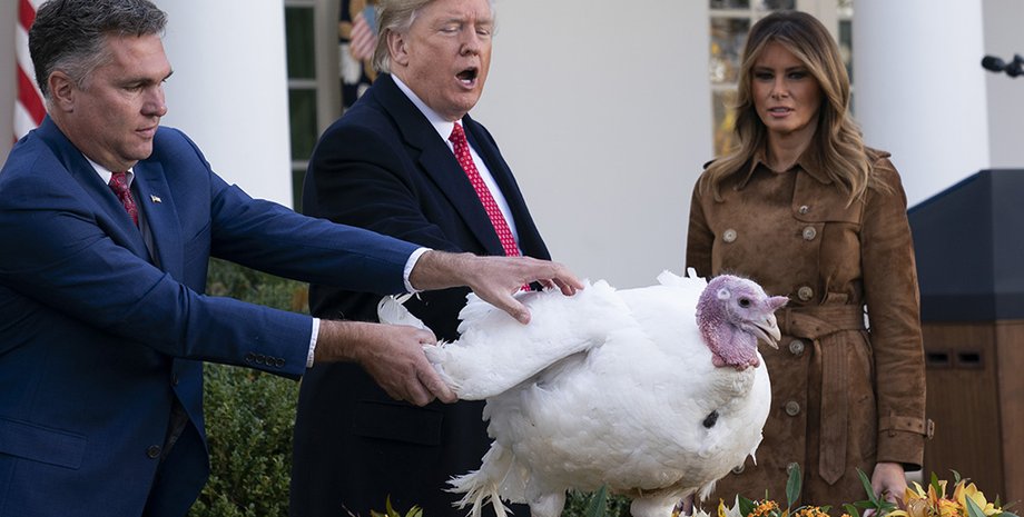 Дональд Трамп отпускает индейку/Фото: White House