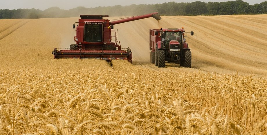 комбайн, поле, урожай, зерно в поле
