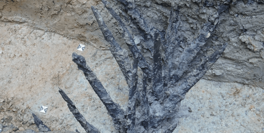 исследования, военный лагерь, раскопки, находка, археология