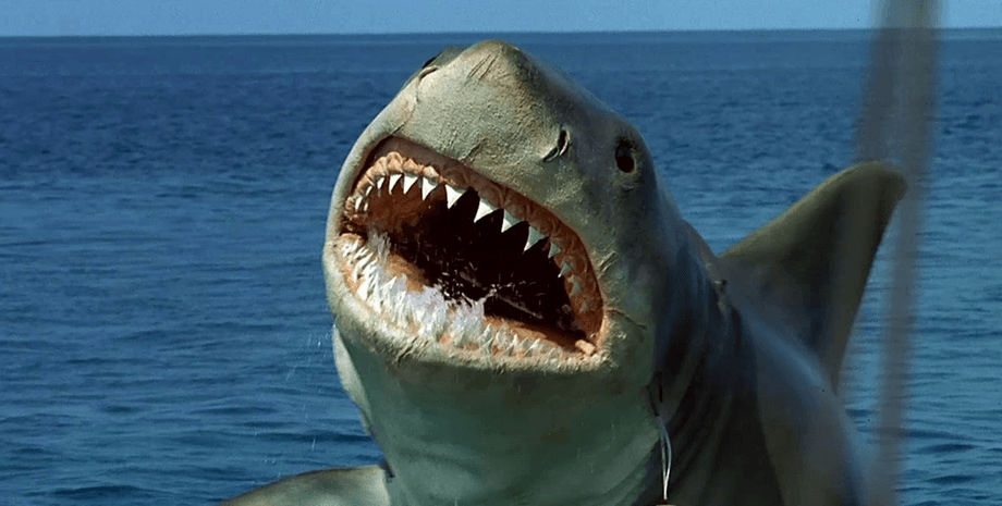 акула фільм щелепи