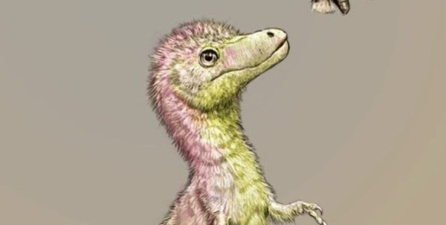 тираннозавр, дитинча