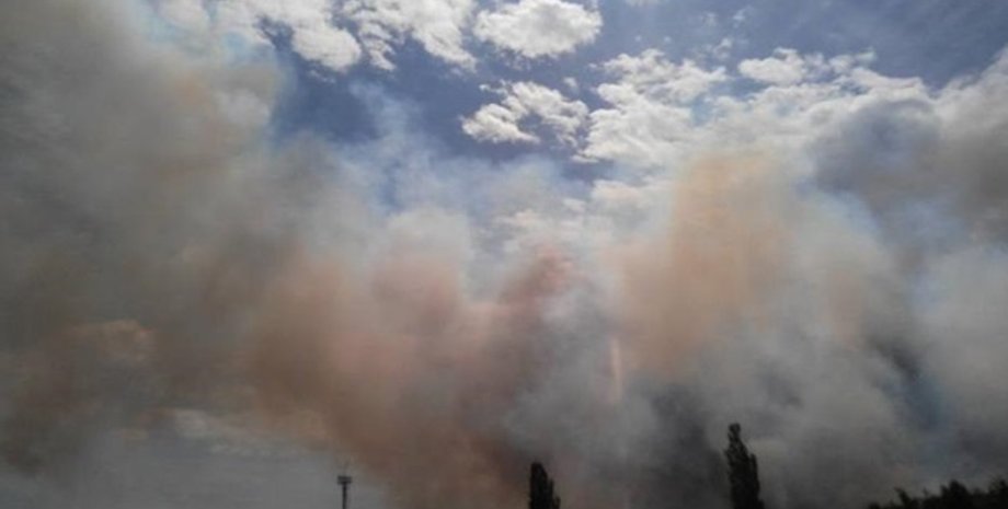 Фото: facebook.com/levina.ns