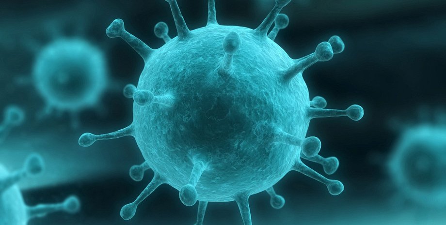 Фото: storiesbywilliams.com