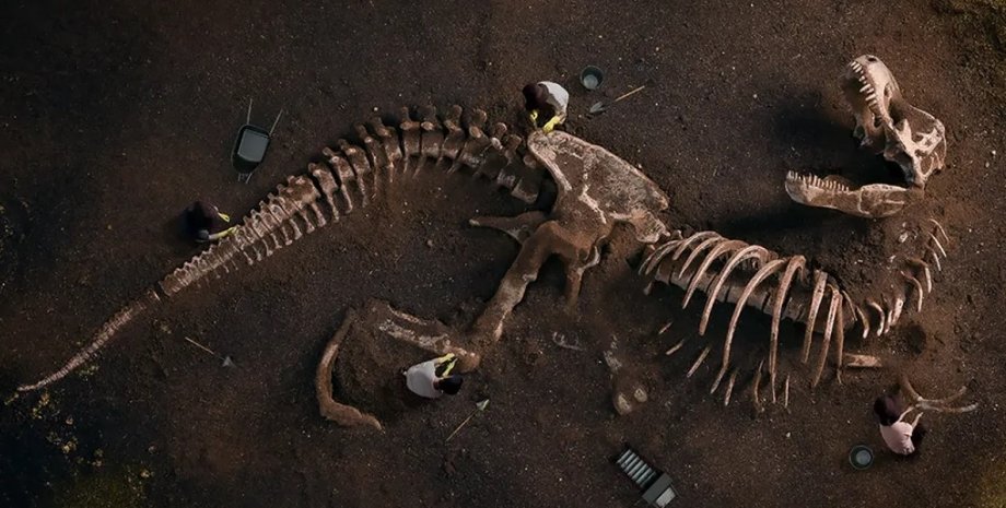 динозаври, скам'янілості динозаврів, кістки динозаврів