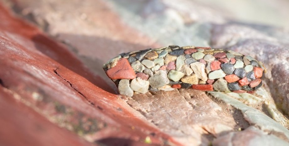 Защита от хищников