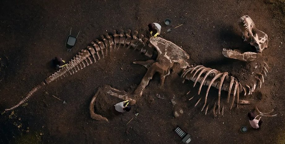 динозавры, окаменелости динозавров, кости динозавров