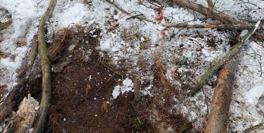 противопехотная мина