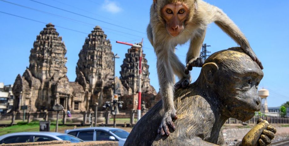 Фото: Twitter VOA Urdu