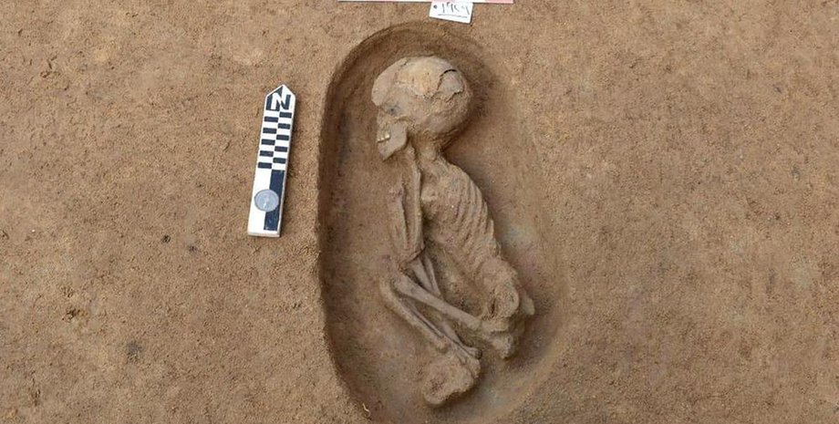 Єгипет, археологи, гробниці, усипальниці,