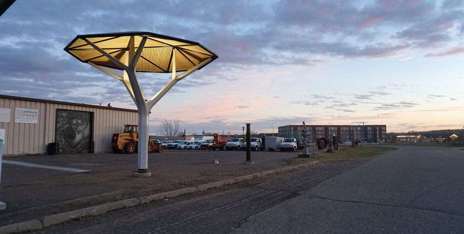 солнечное дерево