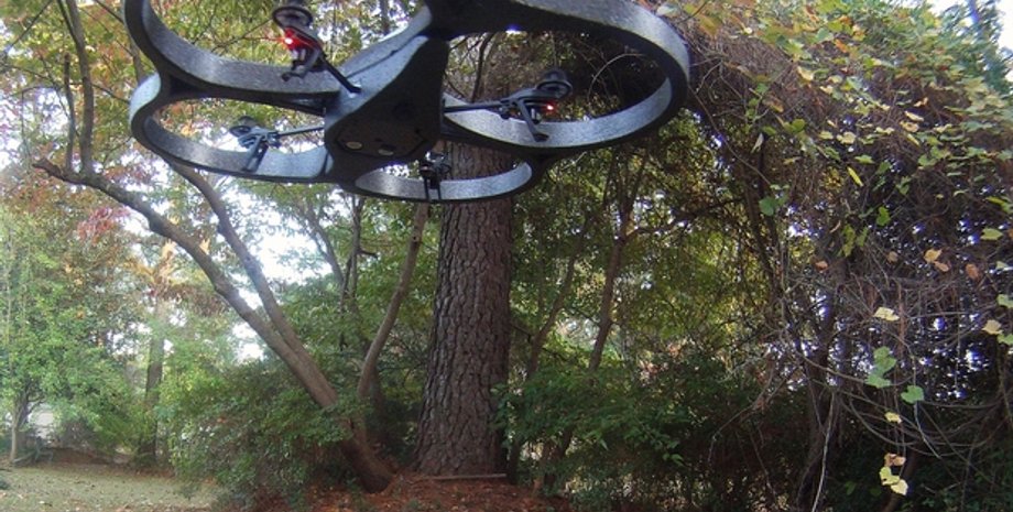 Фото: jalexartis / Flickr