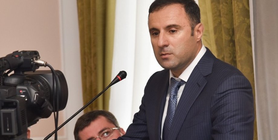 Гиорги Лорткипанидзе / Фото: inforesist.org