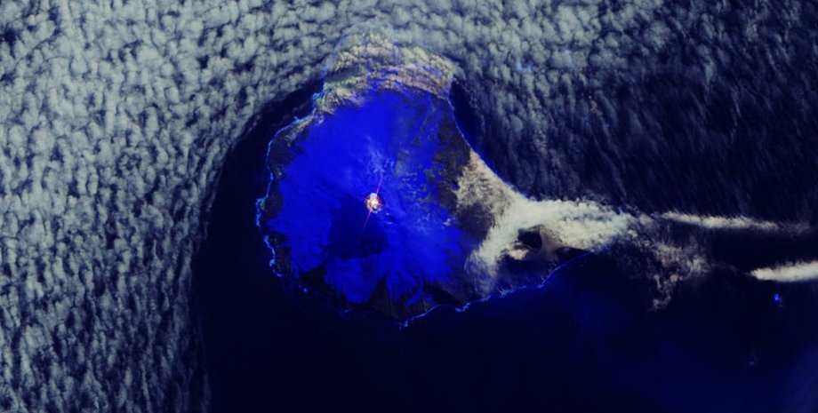 Британская антарктическая служба