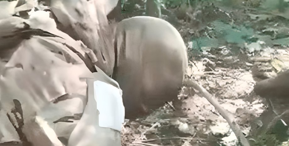 Российские военные вс рф, военные, оккупанты