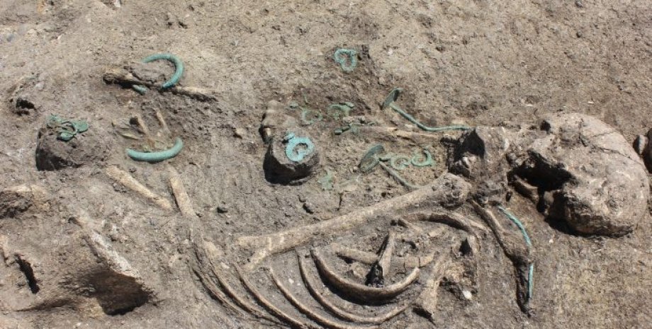 скелет, захоронение, бронзовый век