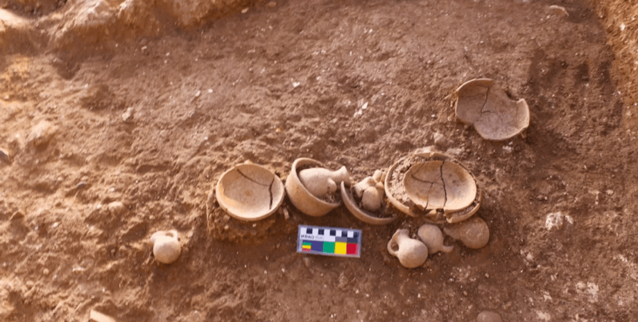 філістимляни, Ізраїль, залізний вік, історія, квіти, рослини, ритуал, релігія, насіння, плід, осінь, храм, культура, традиція, археологія, археологи, фрукти