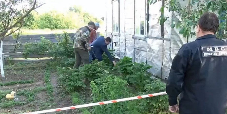 Эксперты, стрельба