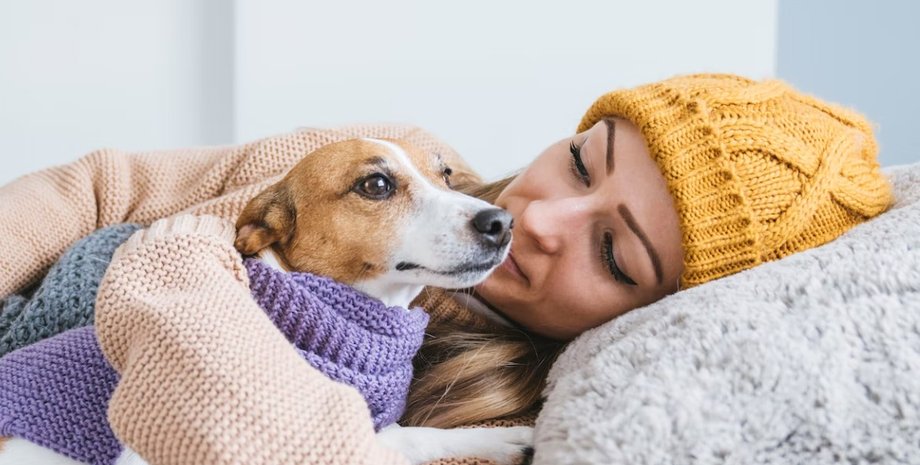 Собака, порода собак, характер собаки