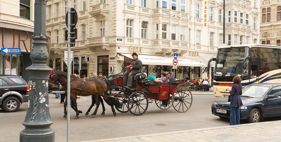 Фото: Pribalt.info