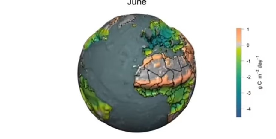 углеродный цикл на Земле