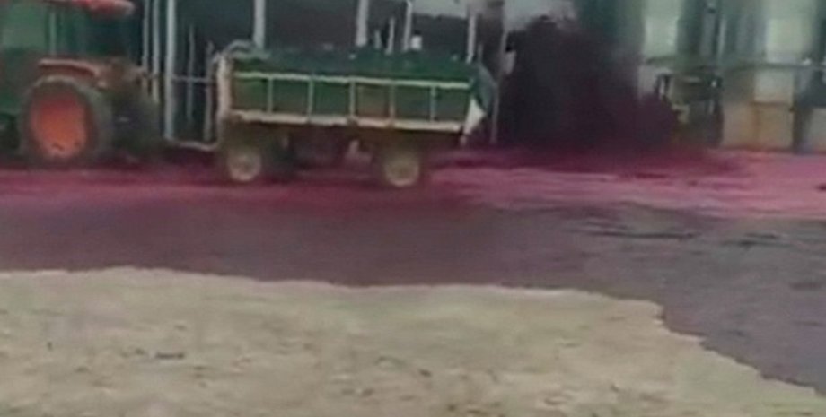 Фото: скриншот