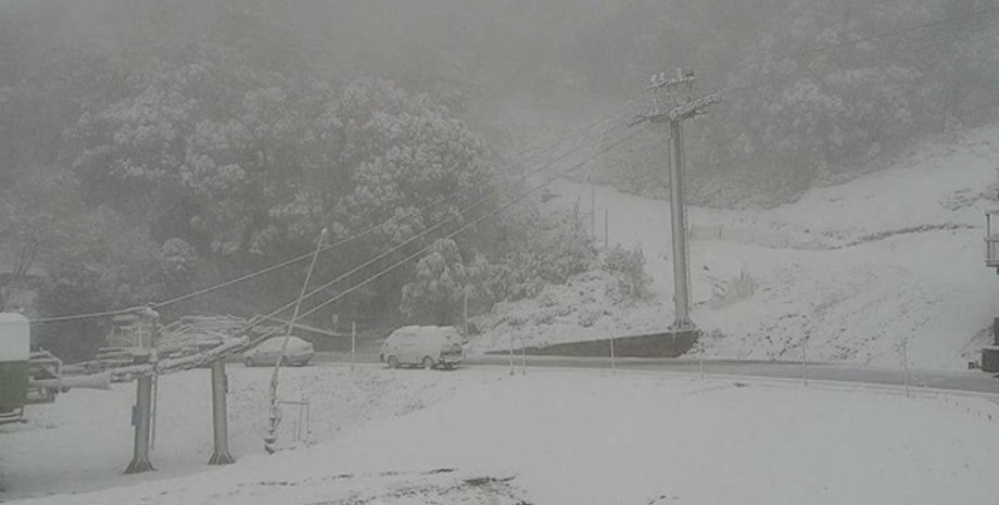 Фото: twitter.com/SNOWSEARCH_aus