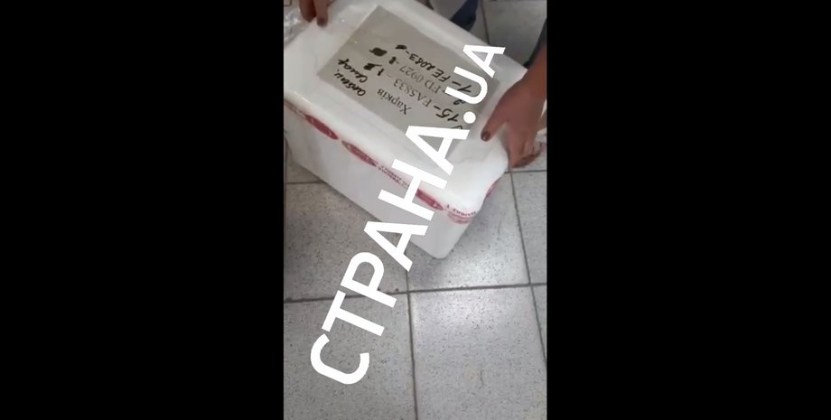 вакцинація, вакцина Pfizer, Pfizer в Україні, вакцина Pfizer в Харкові