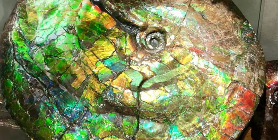 камінь амоліт