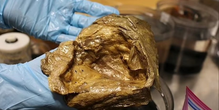 Уже год ученые не могут разгадать тайну загадочного золотого яйца на дне Тихого океана золотое яйцо, золотое яйцо в океане