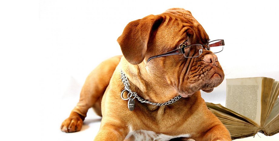 Фото: pxhere.com