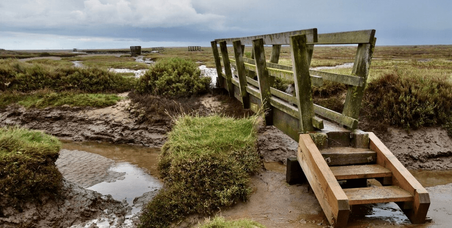 "Міст Фей" у Великій Британії, феї, суперечка, конфлікт, зруйнували міст, чарівні істоти, двічі побудували міст, міст через болото, давній конфлікт,
