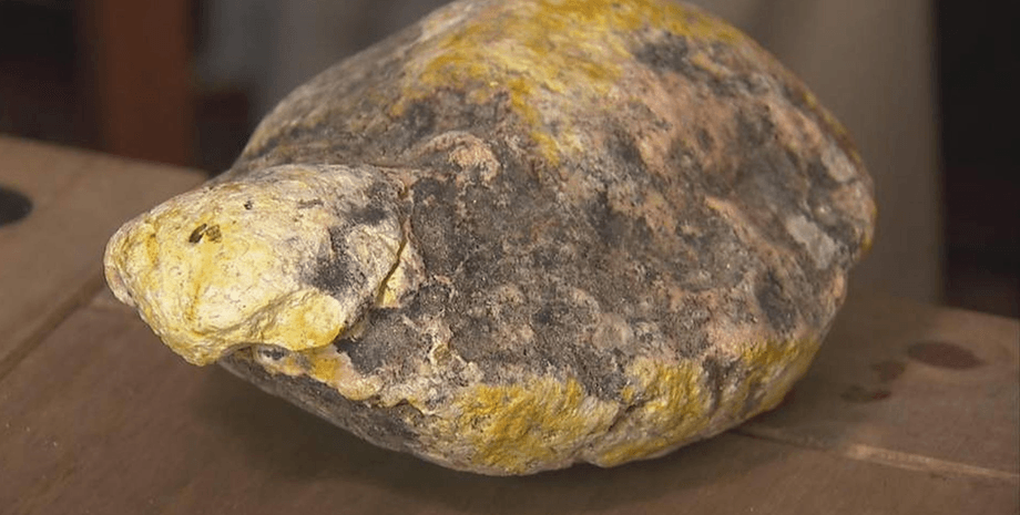 Амбра, блювота кашалота, рідкісна речовина, цінна знахідка, згусток амбри, дорога амбра, конфлікт між сім'ями, гроші