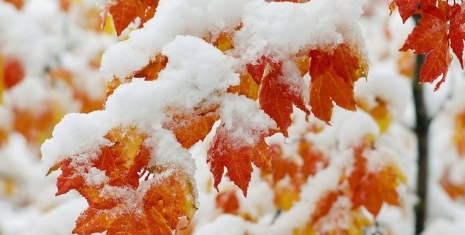 Фото: Укринформ