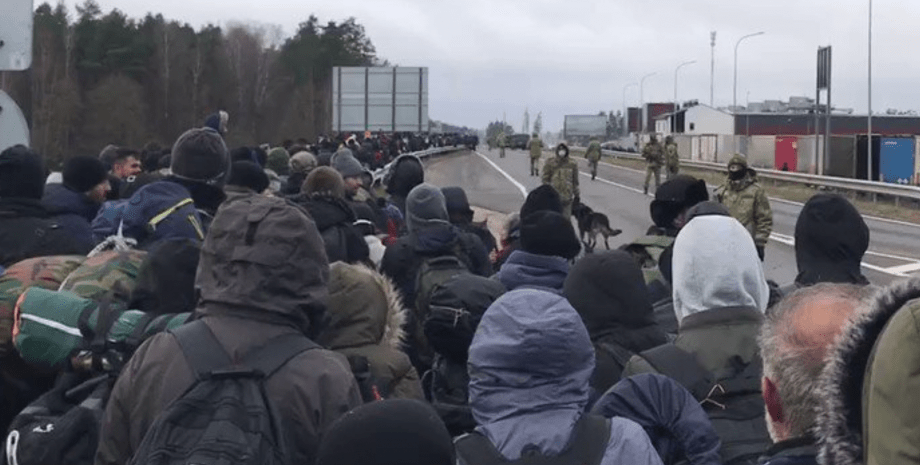 Мигранты, граница, Польша, Беларусь