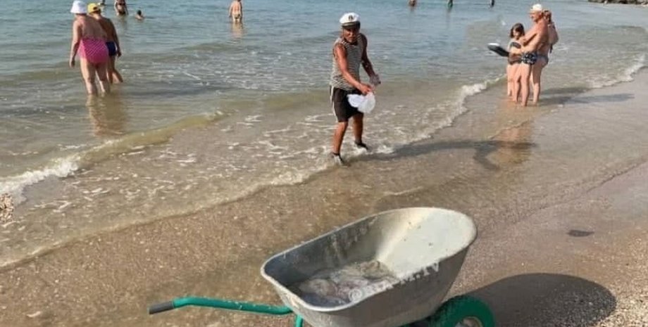 Азовське море, пляж, медузи,