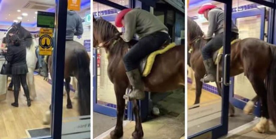 Мужчины привели в магазин своих лошадей, зачем они это сделали, курьезы, случай в австралийском магазине, курьезы