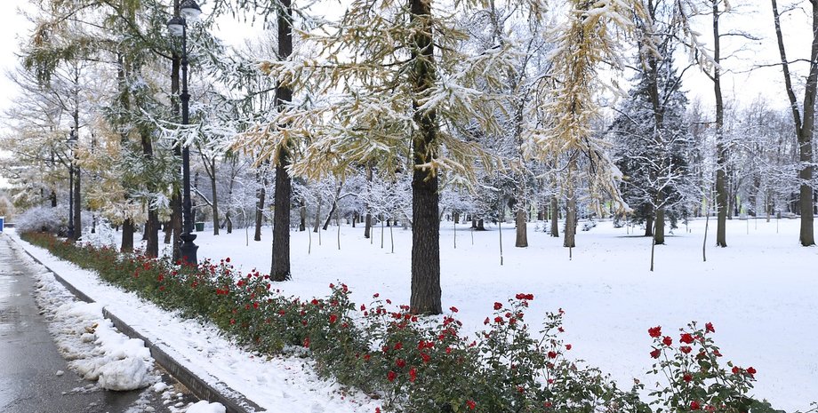 дорога, заморозки, деревья, снег